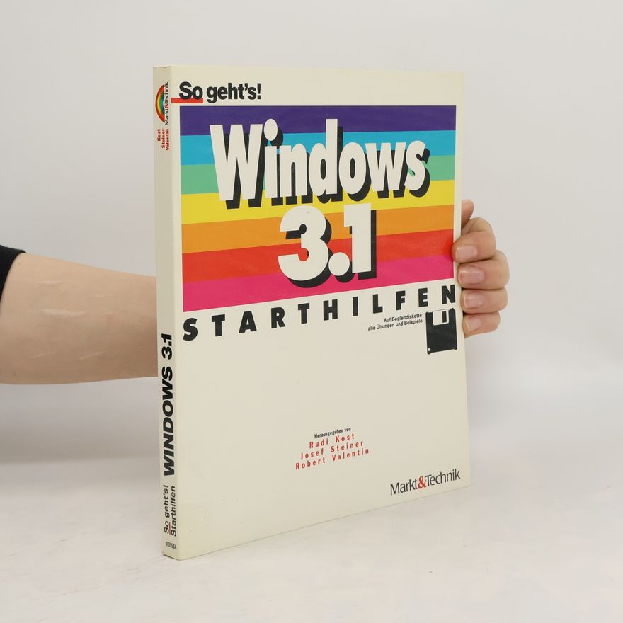 Rudi Kost Windows, Version 3.1 - Starthilfen