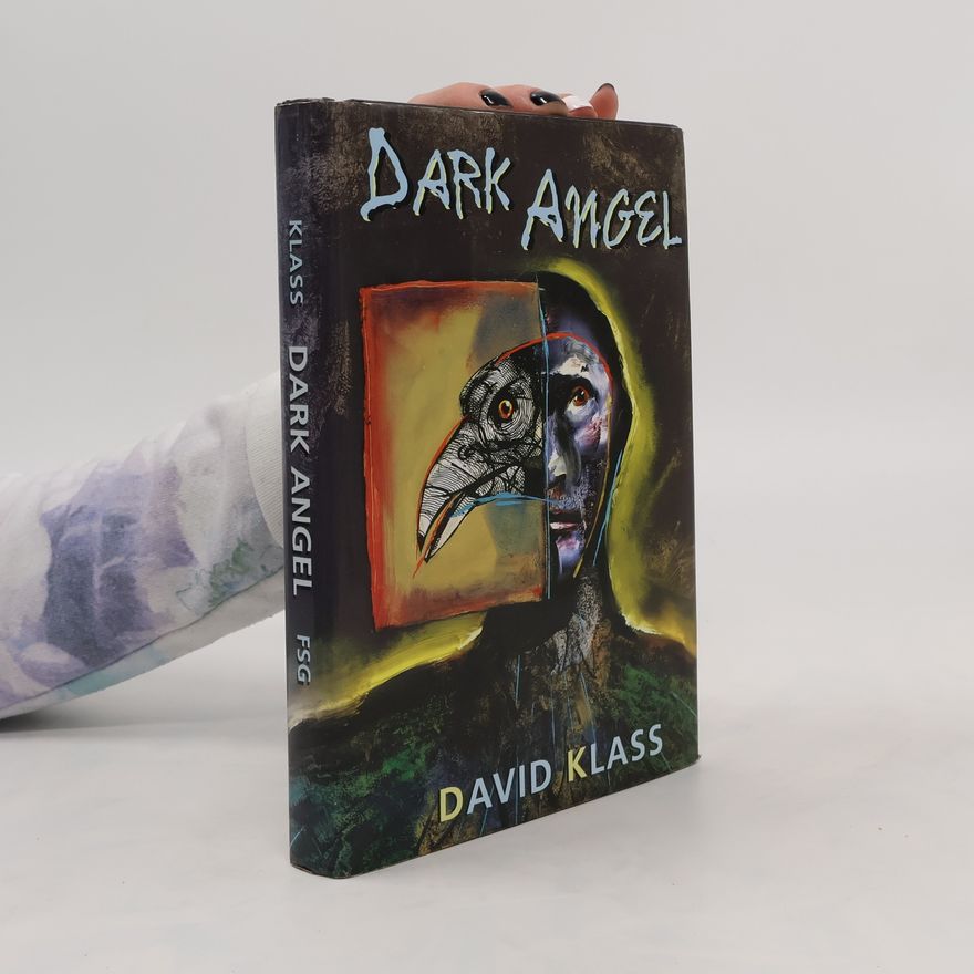 David Klass Dark Angel