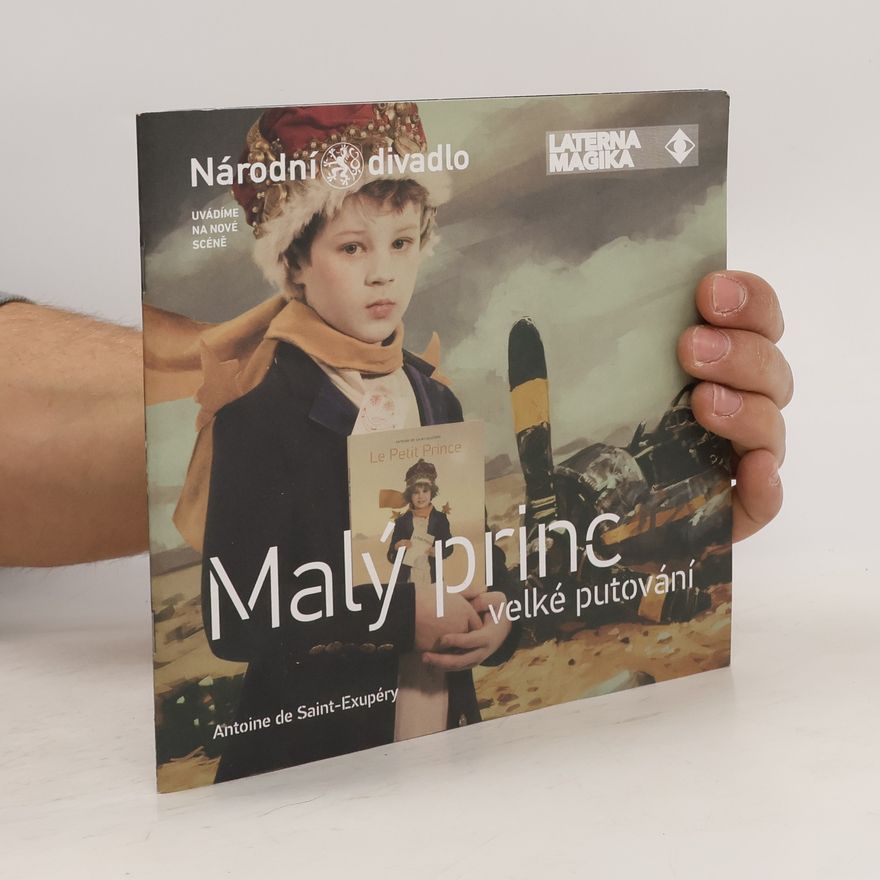 Kolektív autorov Malý princ, velké putování