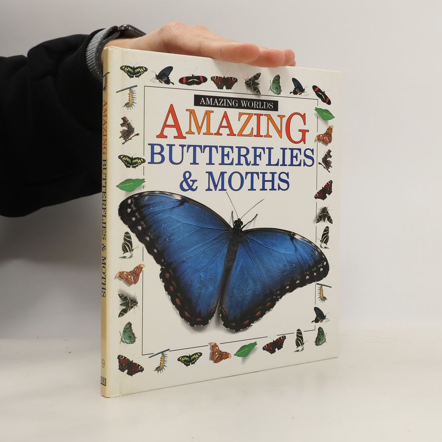 John Still Amazing Butterflies and Moths