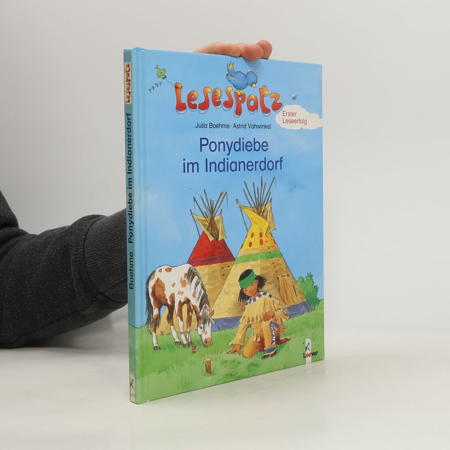 Julia Boehme Ponydiebe im Indianerdorf