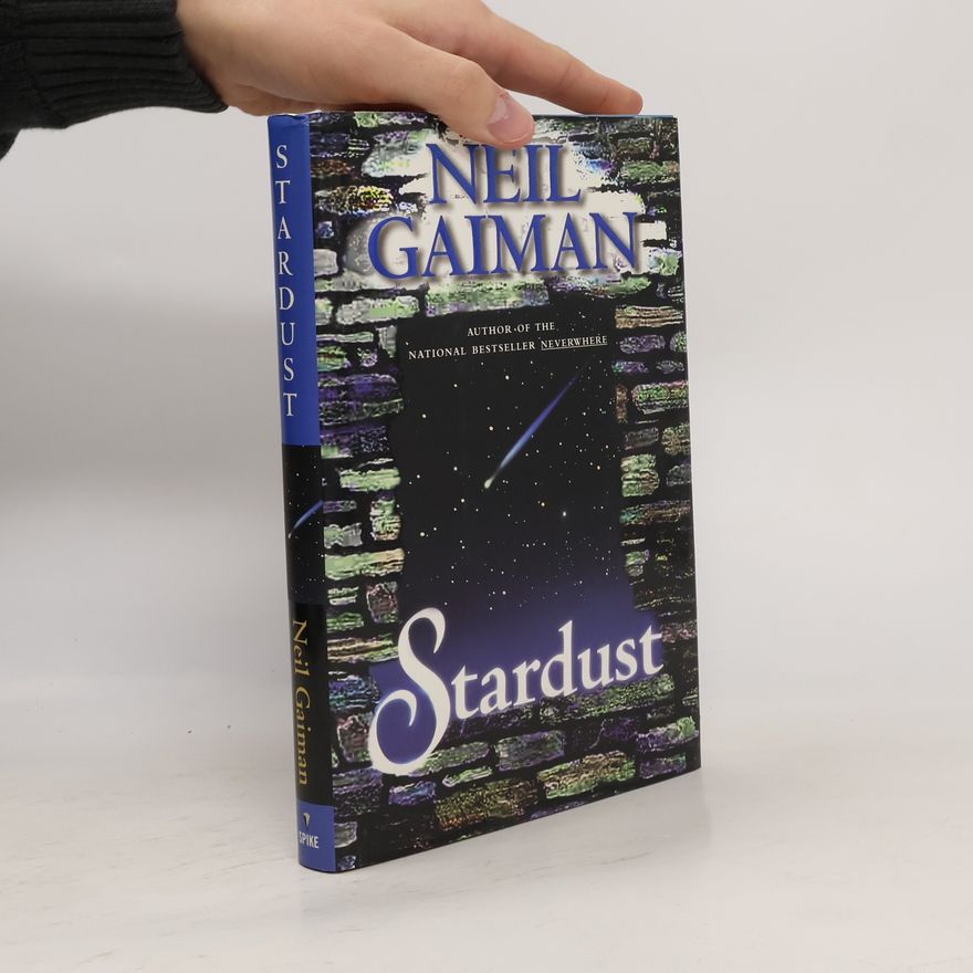 Neil Gaiman Stardust