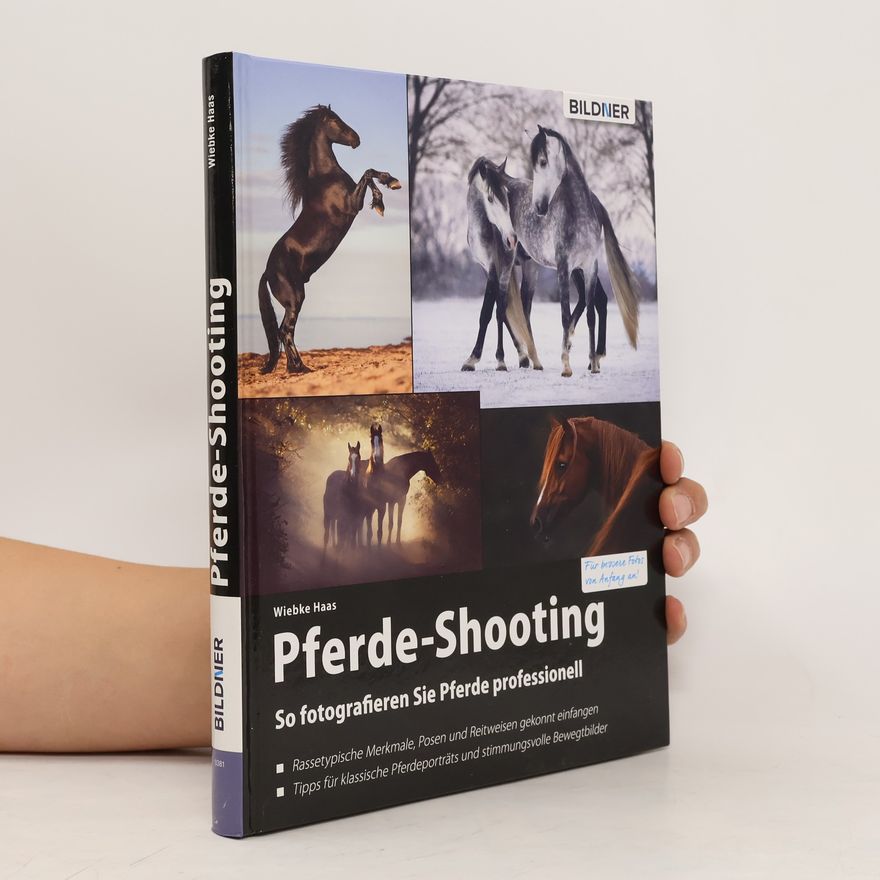 Wiebke Haas Pferde-Shooting