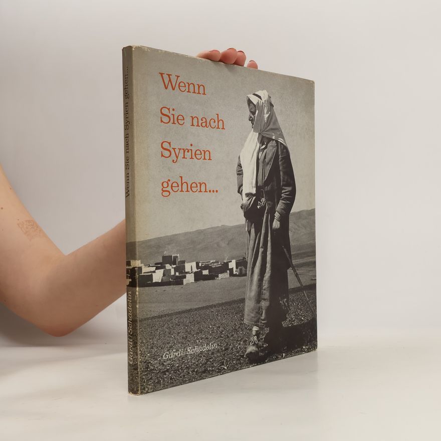 Klaus Schädelin Wenn Sie nach Syrien gehen…