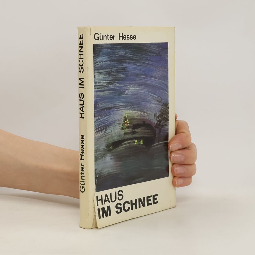 Günter Hesse Haus im Schnee
