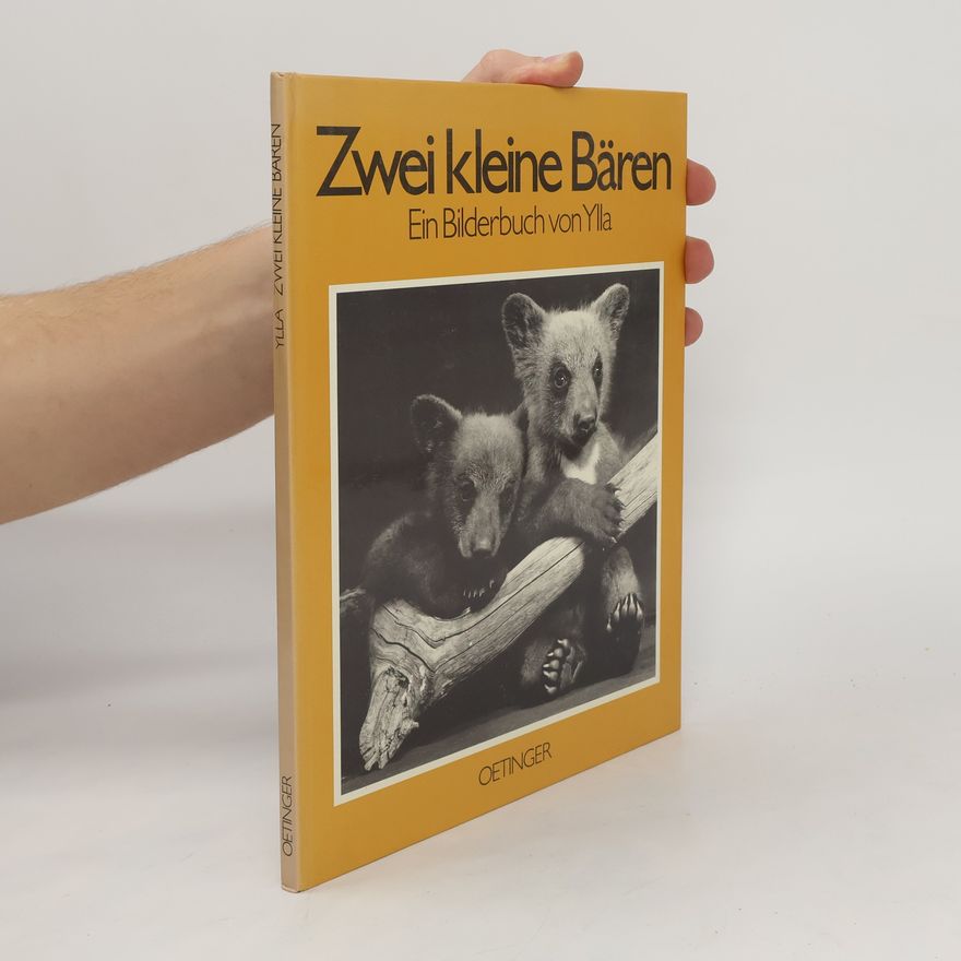 Autorenkollektiv Zwei kleine Bären