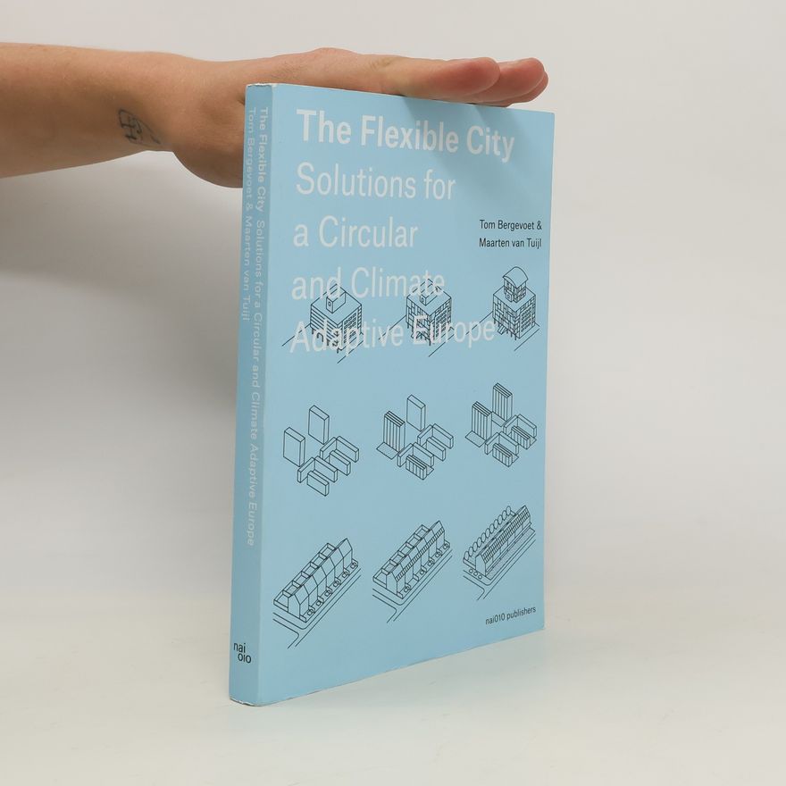 Maarten van Tuijl The Flexible City