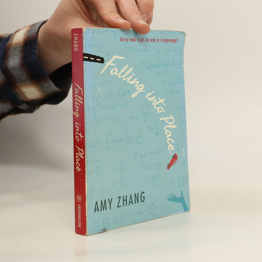 Amy Zhang Falling into Place