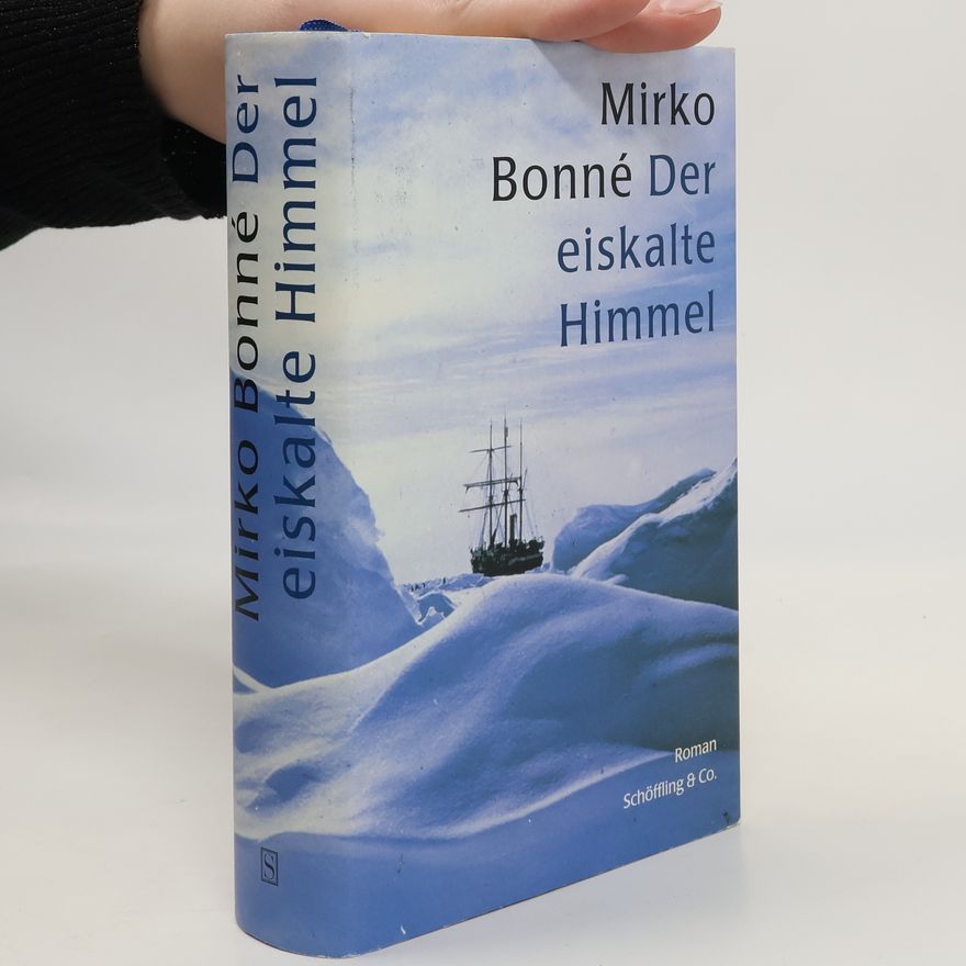 Mirko Bonné Der eiskalte Himmel