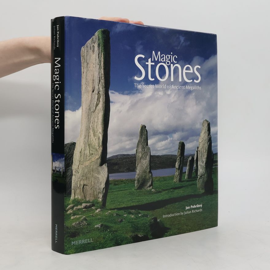Julian C. Richards Magic Stones