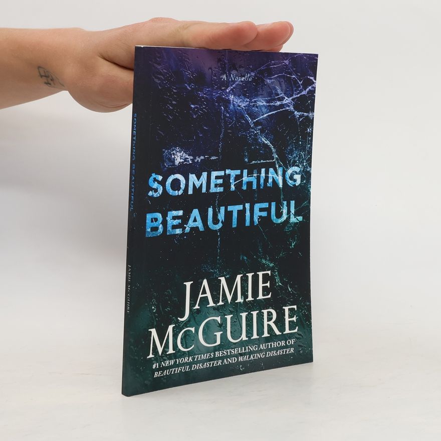 Jamie McGuire Something Beautiful