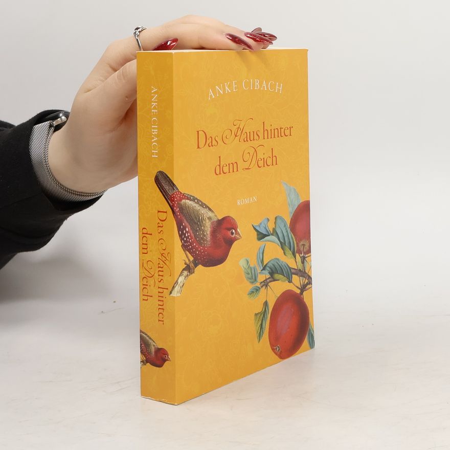 Anke Cibach Das Haus hinter dem Deich