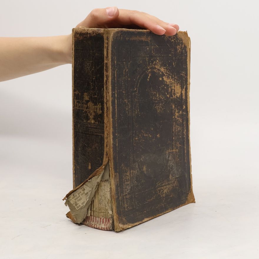 Autores varios Die Bibel