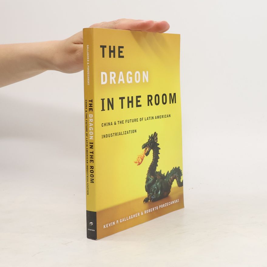 Roberto Porzecanski The Dragon in the Room