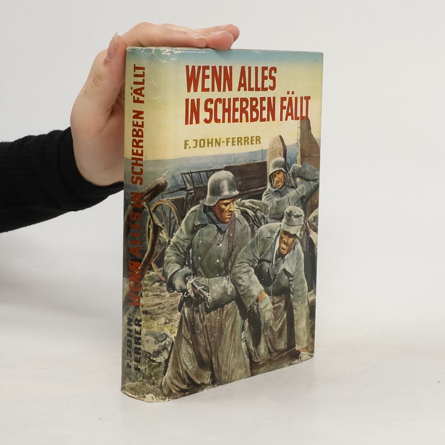 F. John Ferrer Wenn alles in Scherben fällt