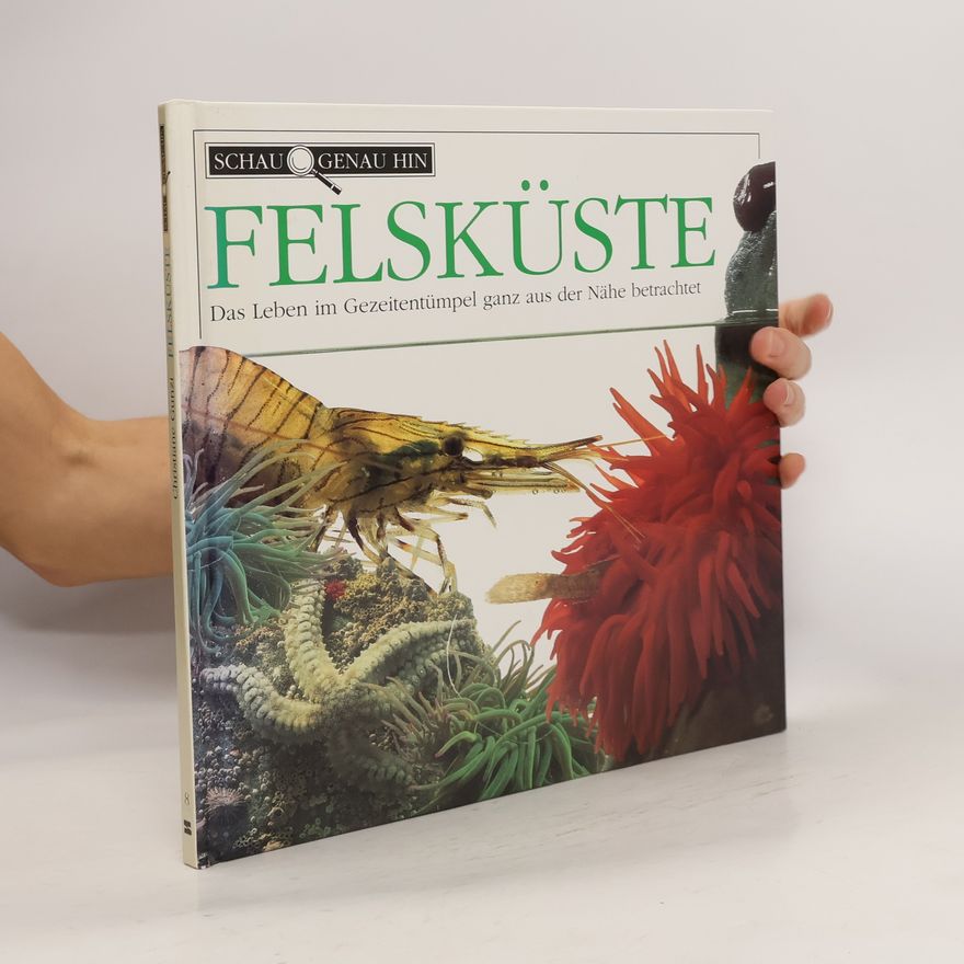 Autorenkollektiv Felskuste