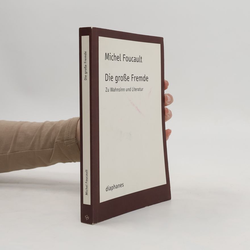 Michel Foucault Die große Fremde