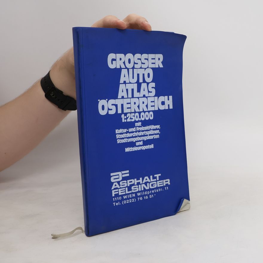 AA.VV. Grosser Auto Atlas Österreich 1:250 000