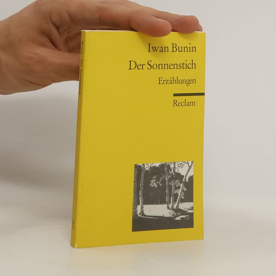 Kay Borowsky Der Sonnenstich. Erzählungen