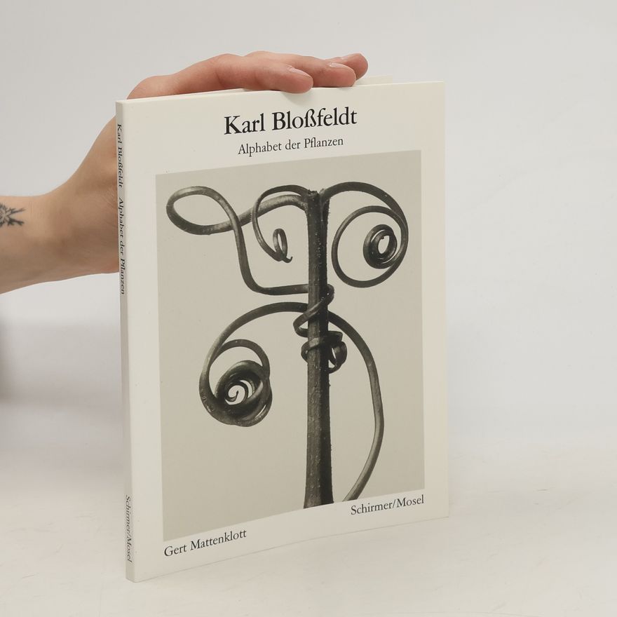 Karl Blossfeldt Alphabet der Pflanzen