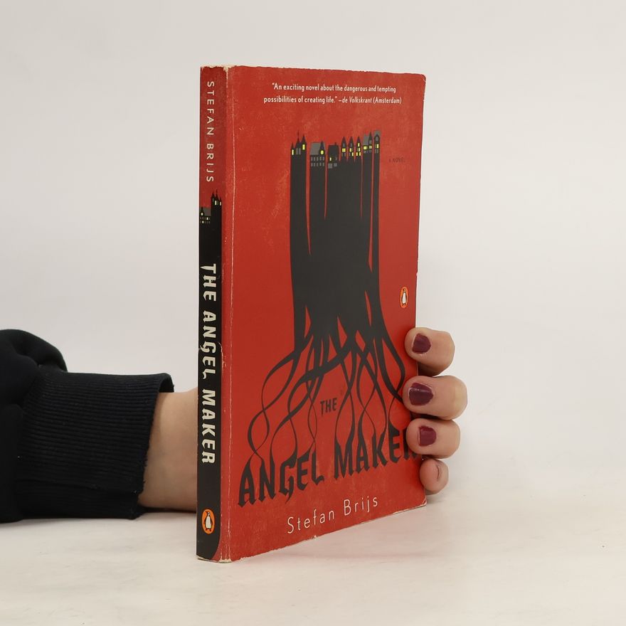 Stefan Brijs The Angel Maker