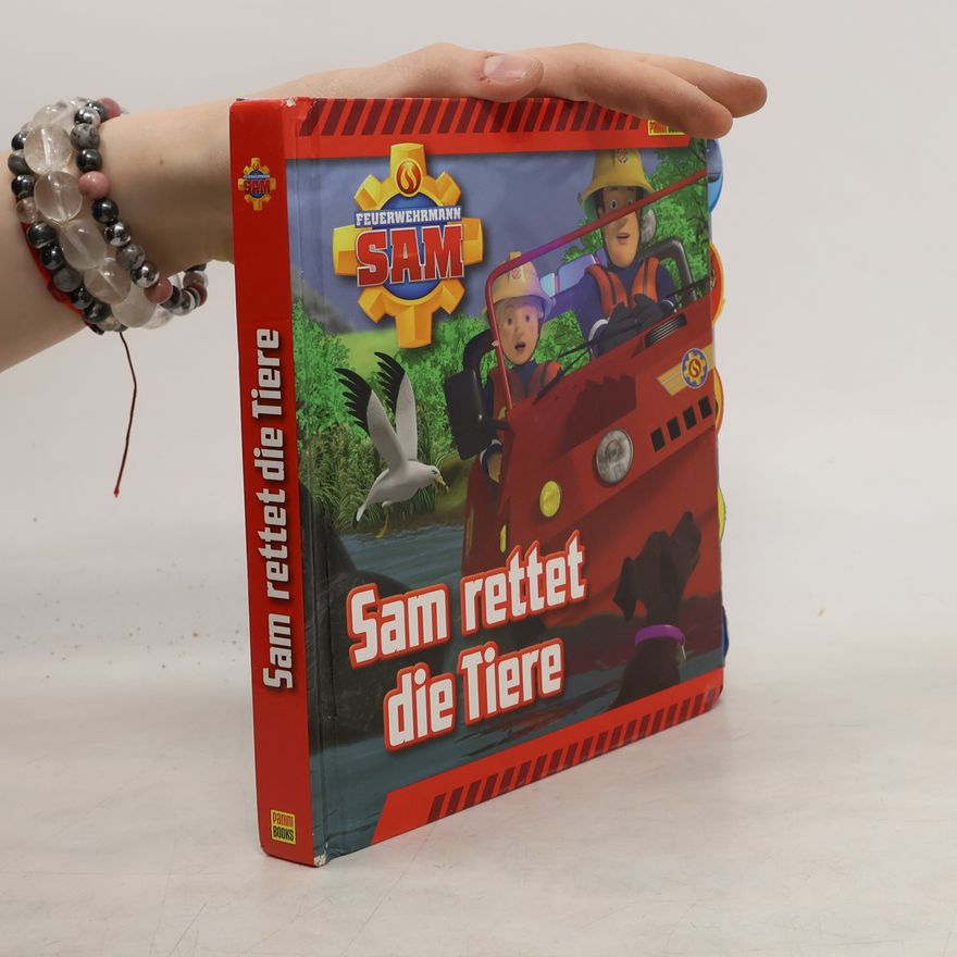 Kolektiv autorů Feuerwehrmann Sam Pappbilderbuch