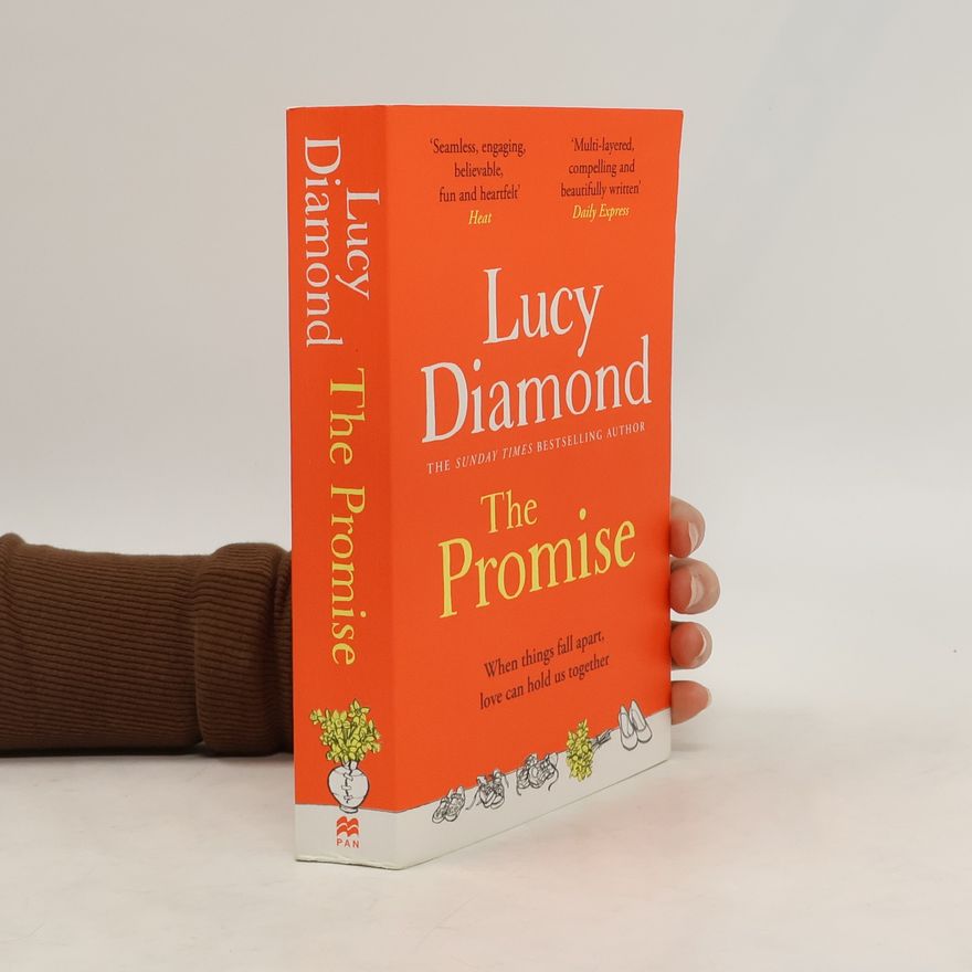 Lucy Diamond The Promise