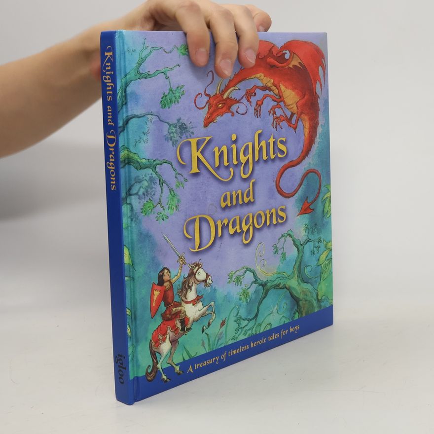 Autorenkollektiv Knights and Dragons