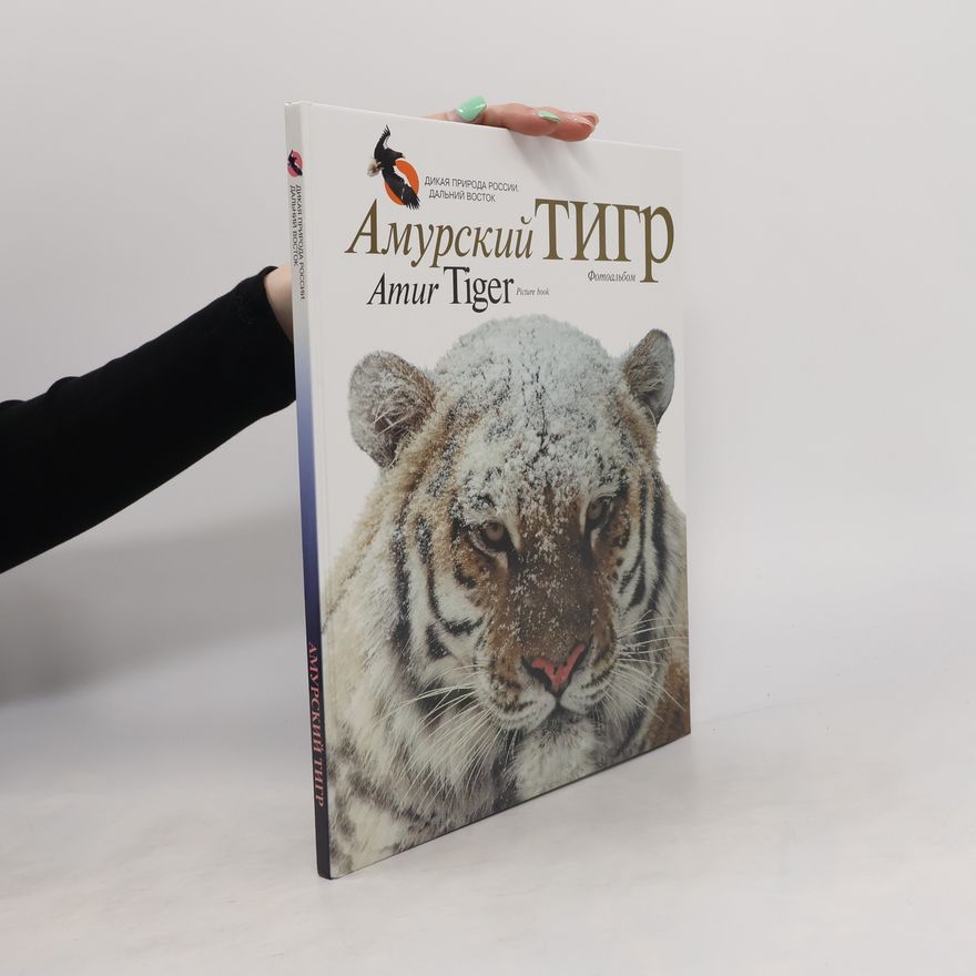 Yuri Dunishenko Амурский тигр. Amur Tiger