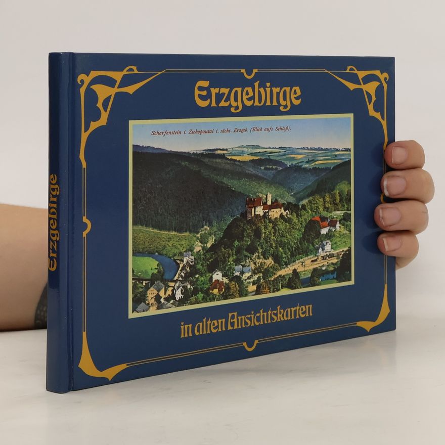 Werner Martin Dienel Erzgebirge in alten Ansichtskarten