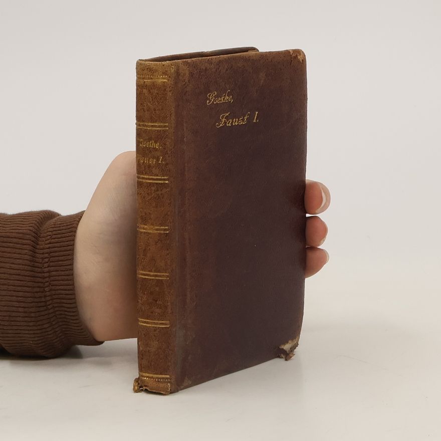 Johann Wolfgang von Goethe Faust 1