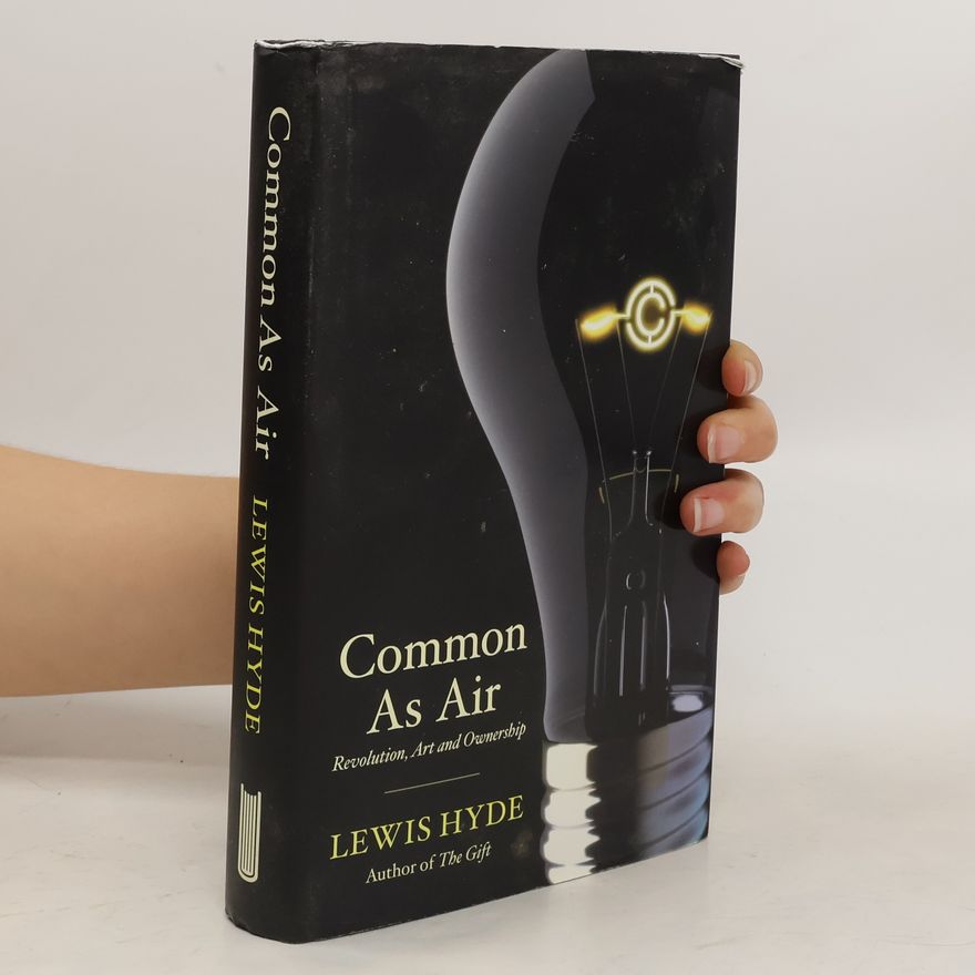 Lewis Hyde Common as Air