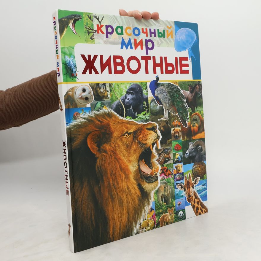Autorenkollektiv Красочный мир