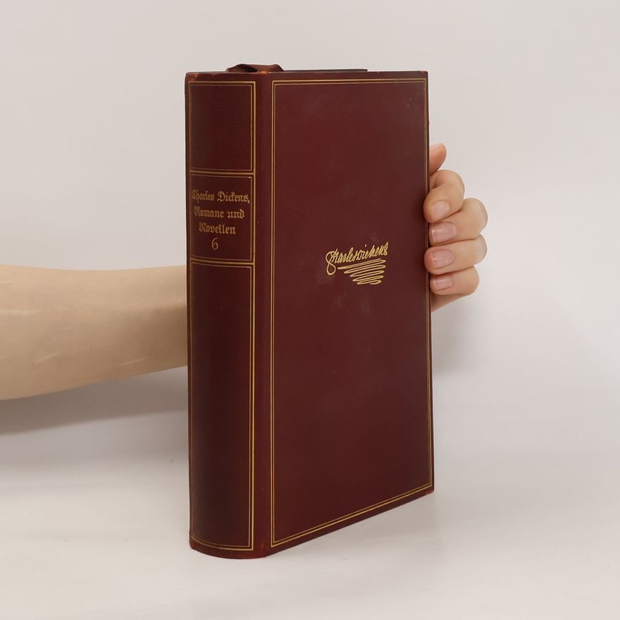 Charles Dickens Romane und Novellen 6