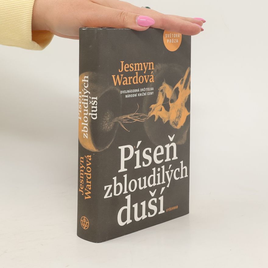 Jesmyn Ward Píseň zbloudilých duší