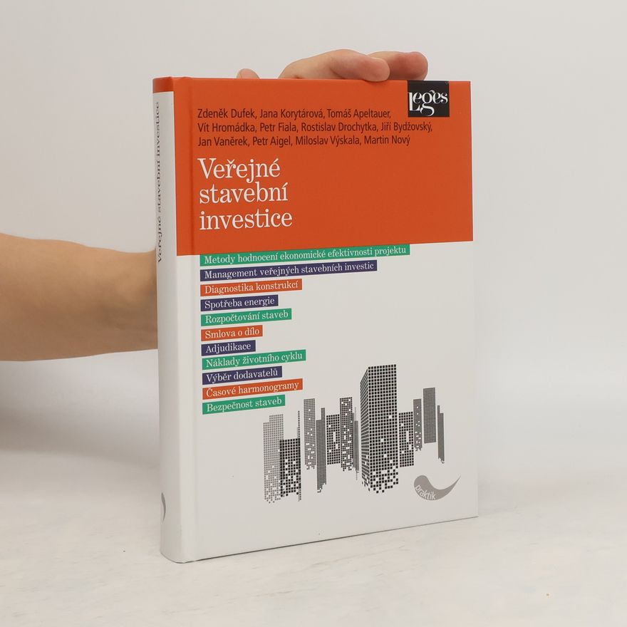 Kolektiv autorů Veřejné stavební investice