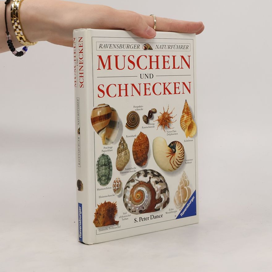 S. Peter Dance Muscheln und Schnecken