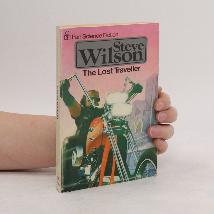 Steve Wilson The Lost traveller