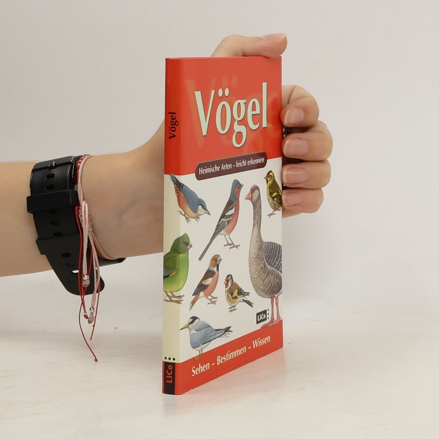 Kolektiv autorů Vogel