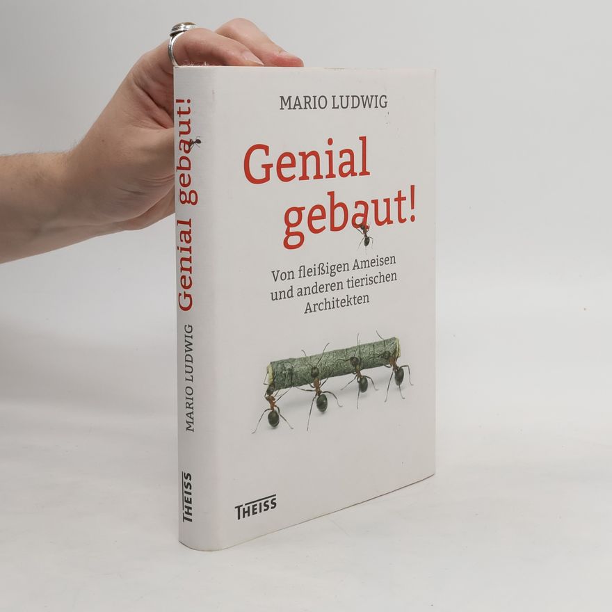 Mario Ludwig Genial gebaut!