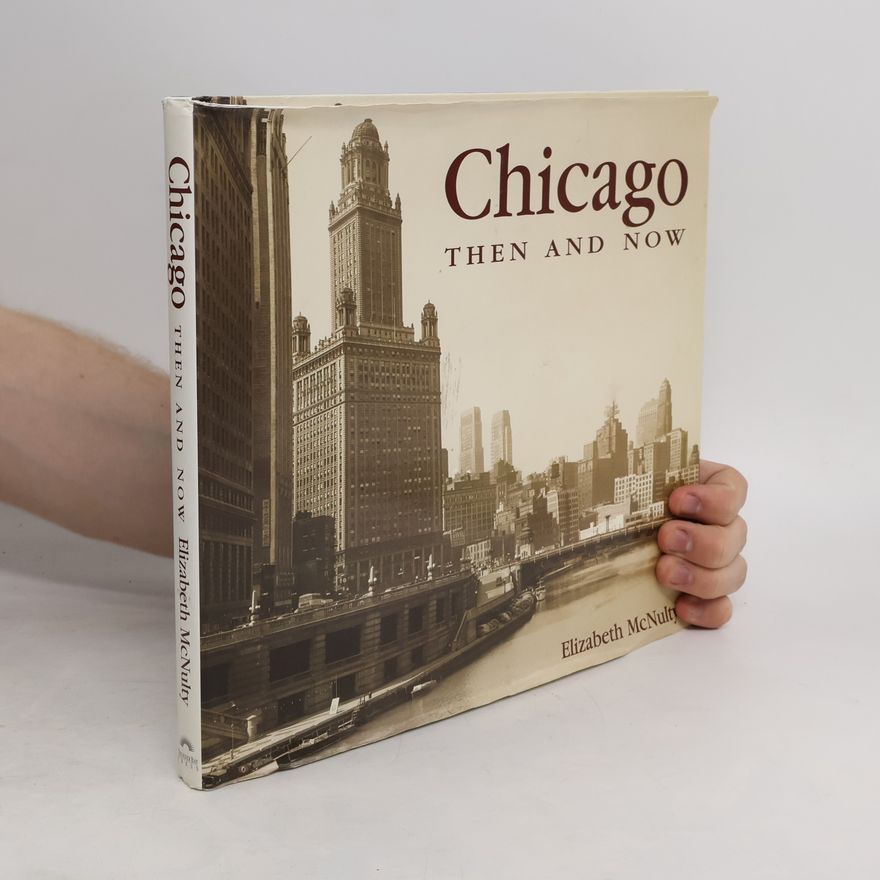 Elizabeth McNulty Chicago Then and Now