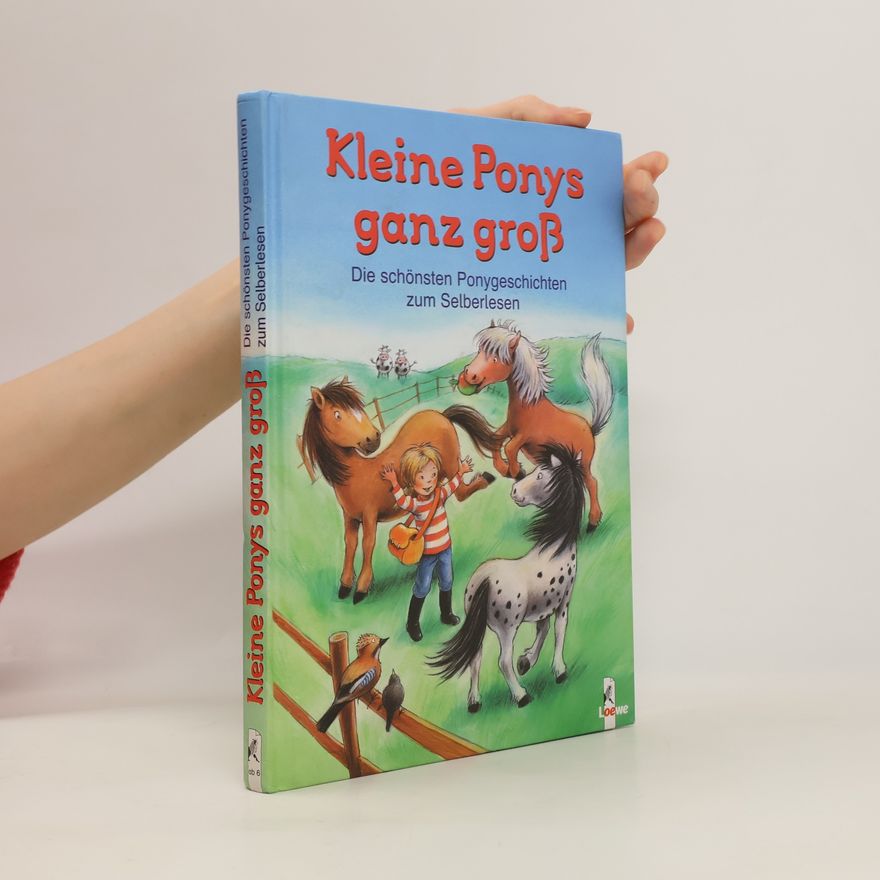 Kolektiv autorů Kleine Ponys ganz groß