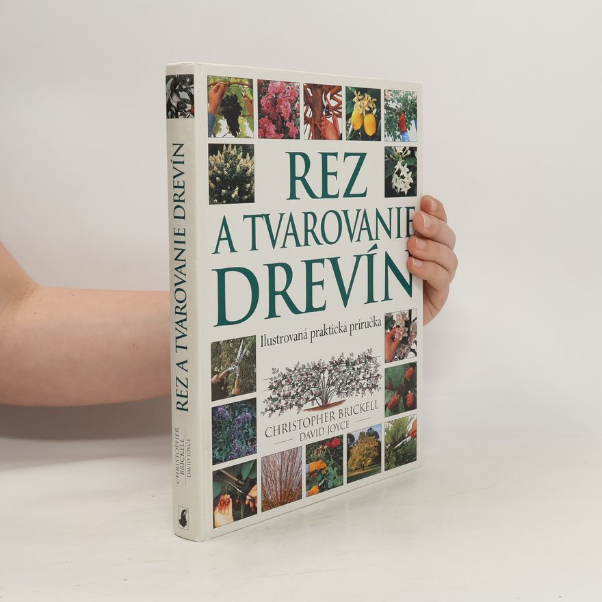 David Joyce Rez a tvarovanie drevín