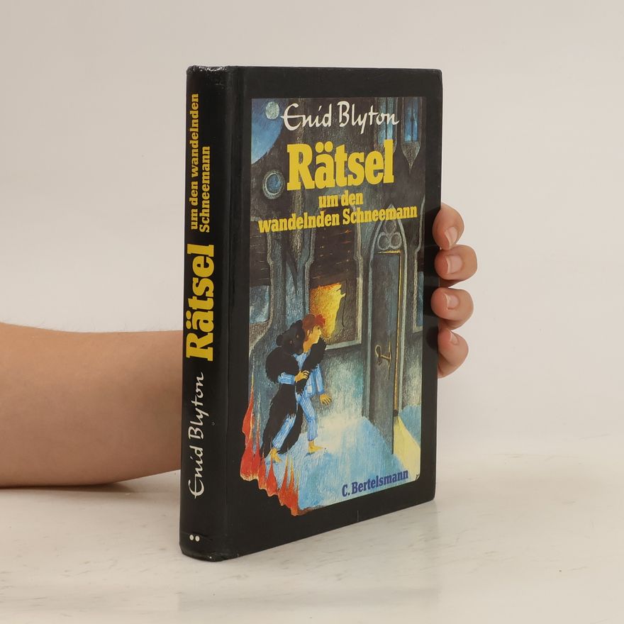 Enid Blyton Rätsel um den wandelden Schneemann
