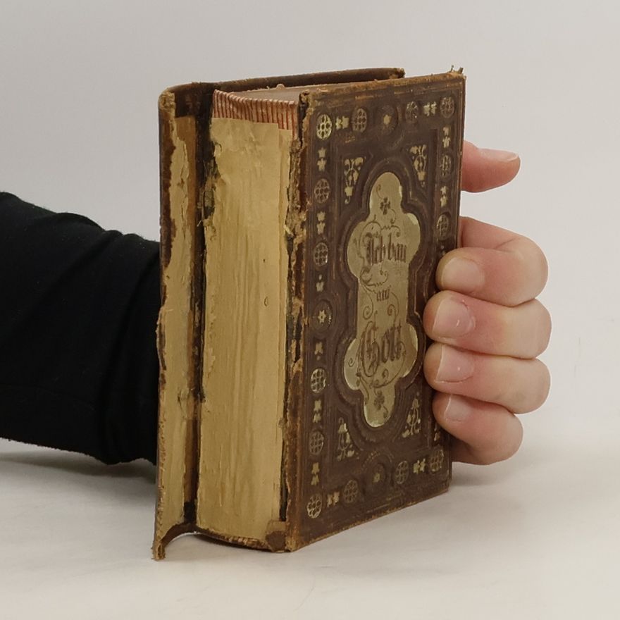 Ludwig Donin Maria die gute Mutter