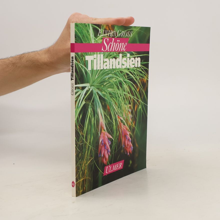 Elvira Gross Schöne Tillandsien