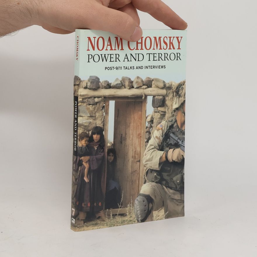 Noam Chomsky Power and terror