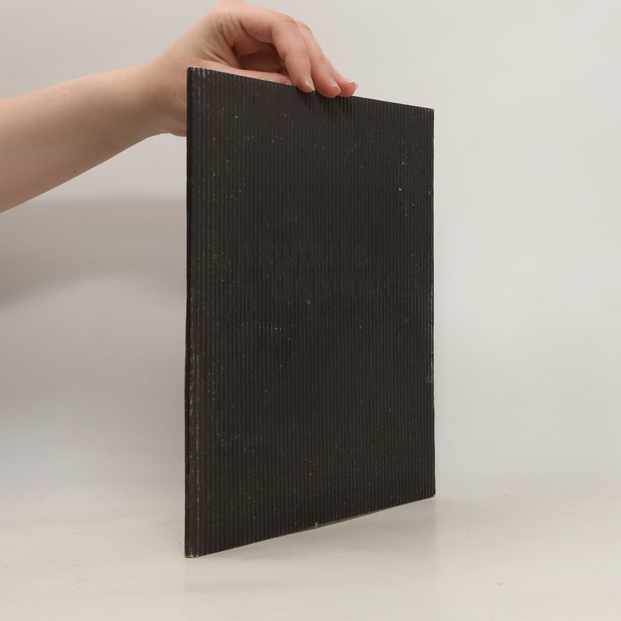 Kolektiv autorů Katalog zur Ausstellung Unscharfe Geometrie