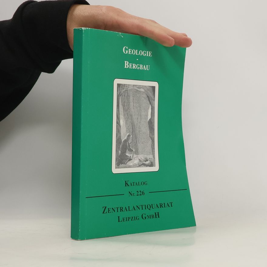 Kolektiv autorů Geologie Bergbau