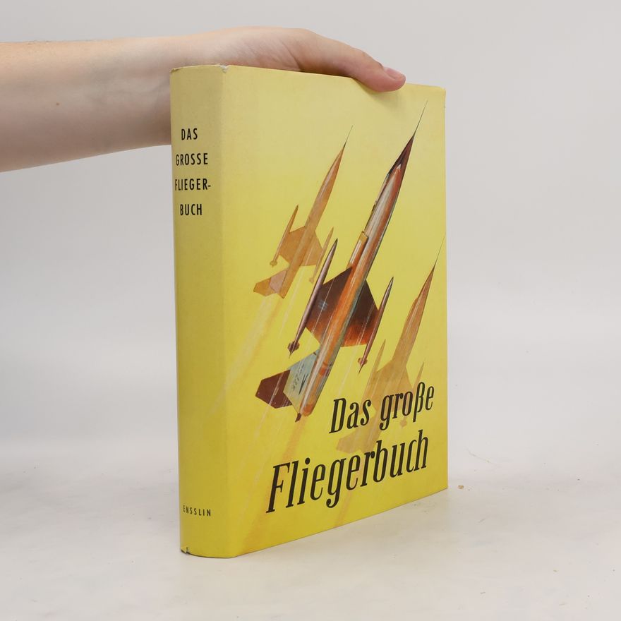 Autores varios Das große Fliegerbuch